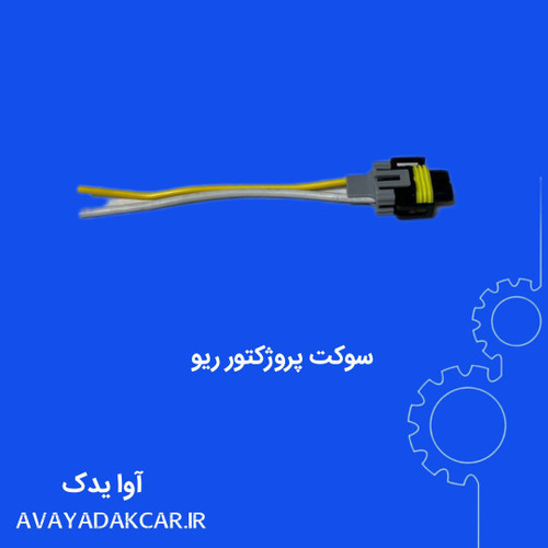 سوکت پروژکتور ریو