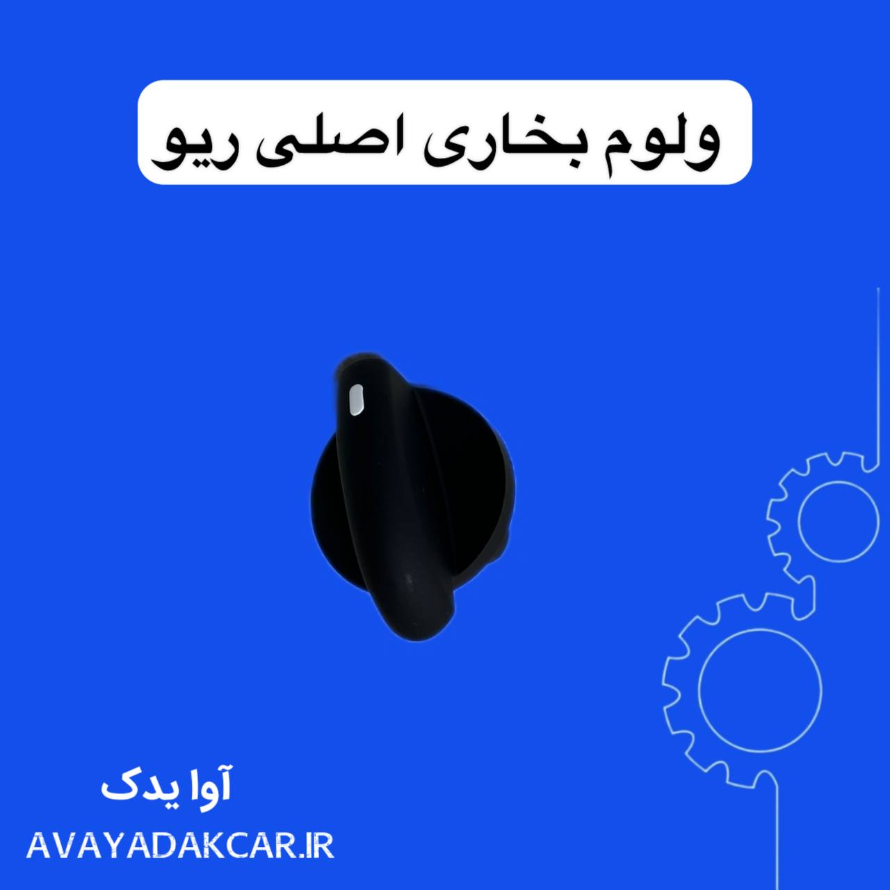 ولوم بخاری اصلی کیا ریو