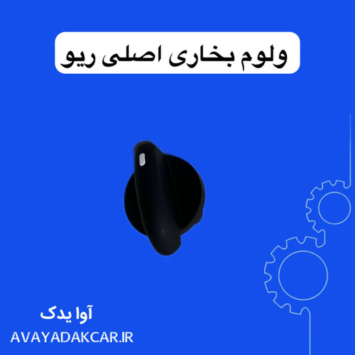ولوم بخاری اصلی کیا ریو